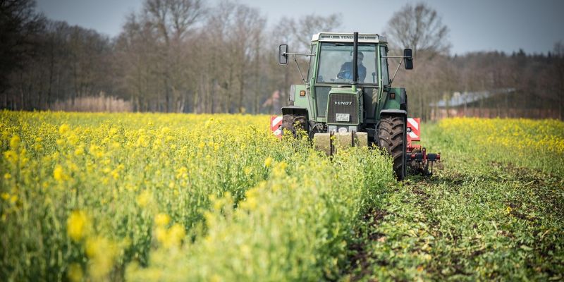 cámaras de visión trasera